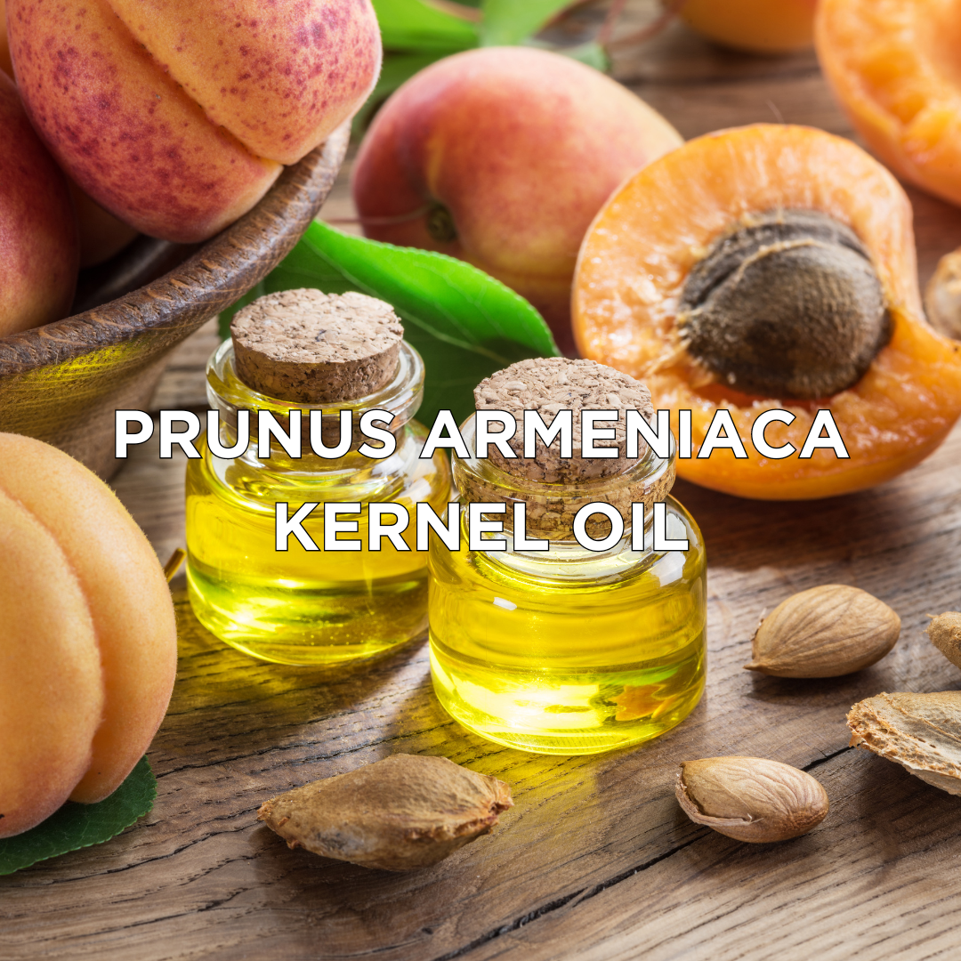 Prunus Armeniaca Kernel Oil